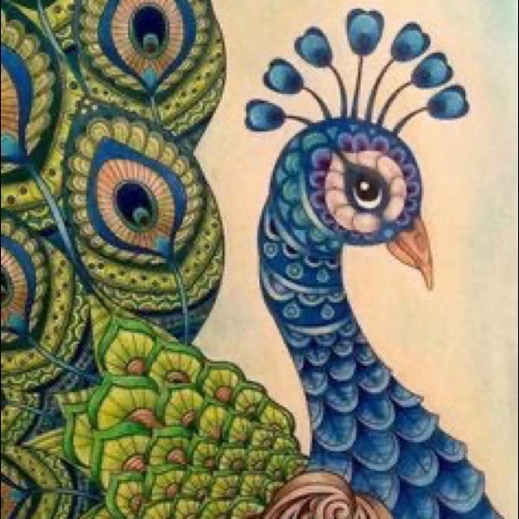 Meet your Posher, Eva - Picture 1 of 7